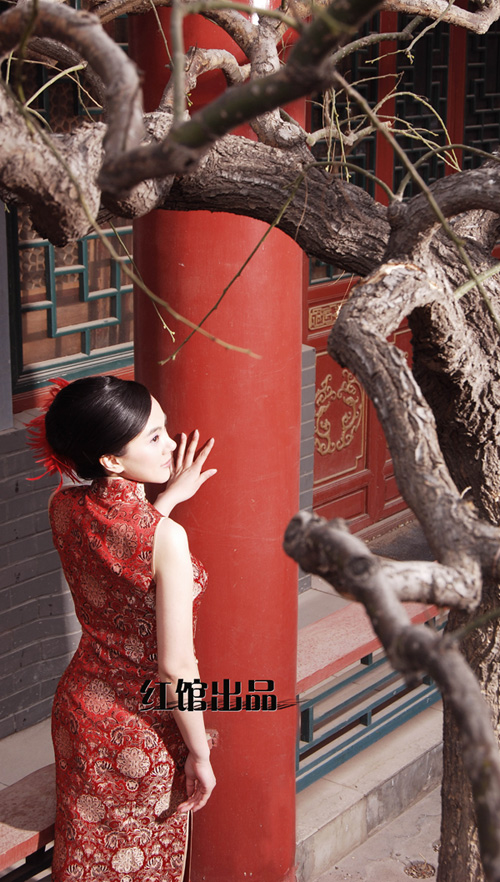 �t�^�¿����