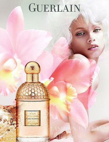 一抹清新的仲夏幽香