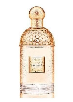 ��̖������ͬ���g�����Ʒζ����ͬ