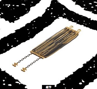 Chanel���΃�2011�����錚