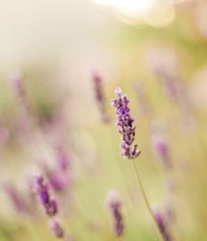 ˬ�wˮDIY ���ܼ�һ�c