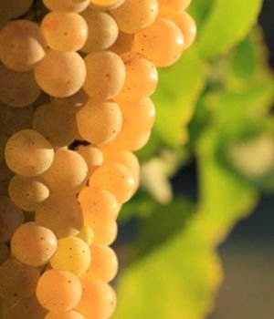 ˬ�wˮDIY ���ܼ�һ�c