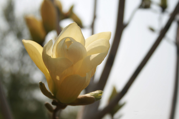 ��ů���_ ���m�ҷ�