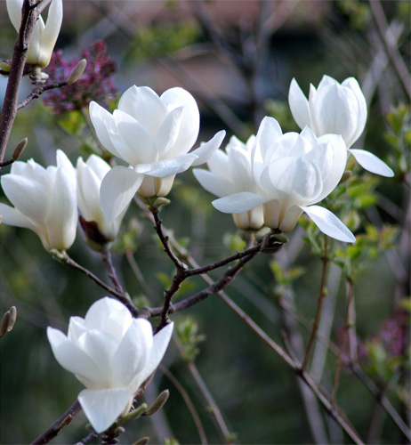 ��ů���_ ���m�ҷ�