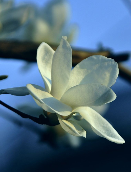 ��ů���_ ���m�ҷ�