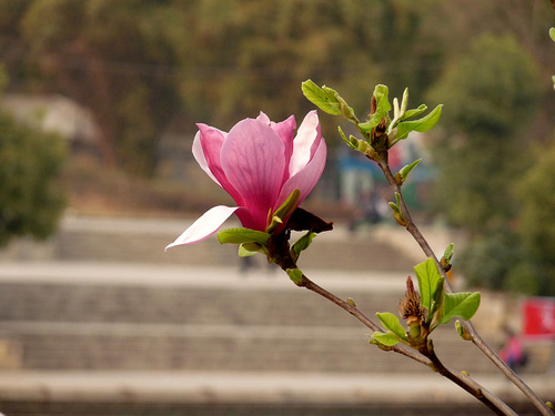 ��ů���_ ���m�ҷ�