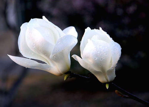 ��ů���_ ���m�ҷ�