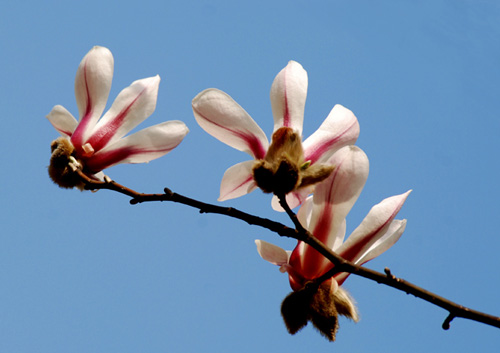 ��ů���_ ���m�ҷ�