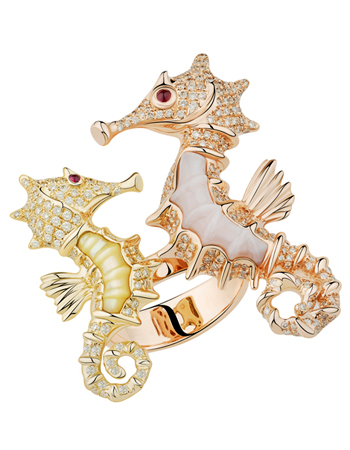 �����錚 ͯȤ���w����A