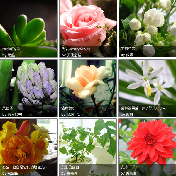 ���_(t��i)�ϵı��ɲ�