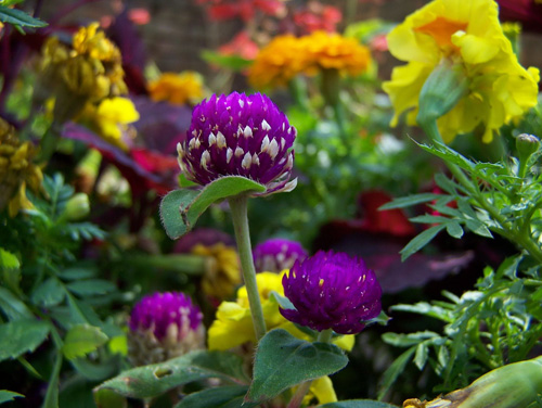 ���g����ǧ�t����(d��)��������