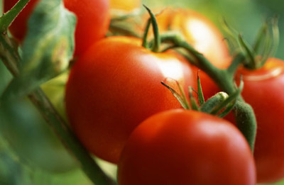 ��Nˮ����ȵ�Ę�ϰ߰��c(di��n)�c(di��n)