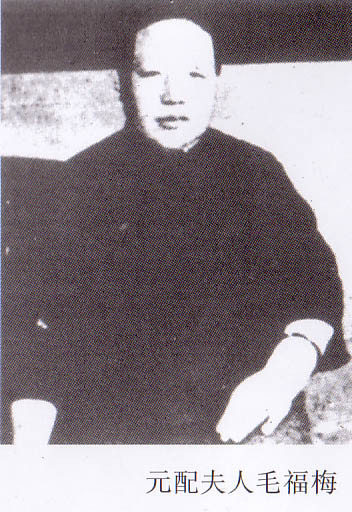 �Y��ʯ��ԭ�����ë��÷