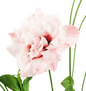 揭秘女人護(hù)膚儀式完全攻略