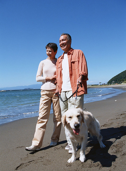 ɢ�����޹��������ݣ�׌���p������