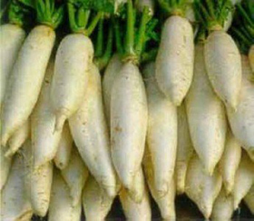 �߷N�����߲˽�������ˆ���