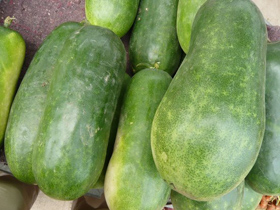 �߷N�����߲˽�������ˆ���