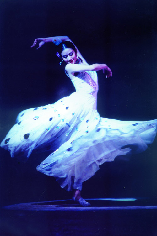 ����Ƽԏጾ��Ъ�(d��)���L(f��ng)퍵��Ї�ʽ����