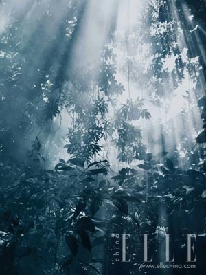 �������¼���Ů��ACQUA di GIOIA