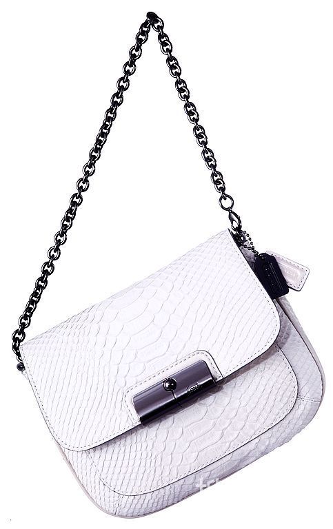 Coach 2011����Kristinϵ���ִ�