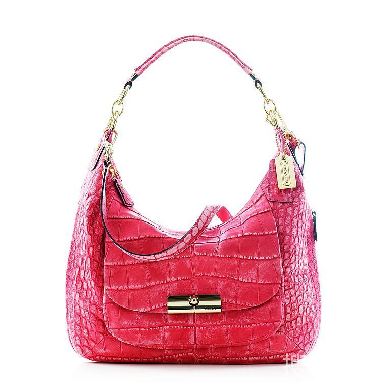 Coach 2011����Kristinϵ���ִ�