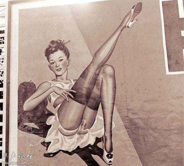 1948�����Ϻ����^�ĸ���V��