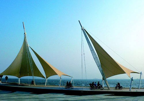 ��Ȼ�Ե������� ����6�����΄ٵ������b