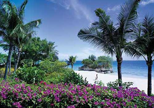 ��Ȼ�Ե������� ����6�����΄ٵ������b