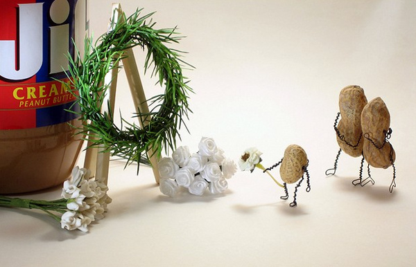 ׌ʳ���v���£�Terry�Ą����ճ�����