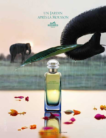 ������׌��ɞ��k���Ҵ�t��