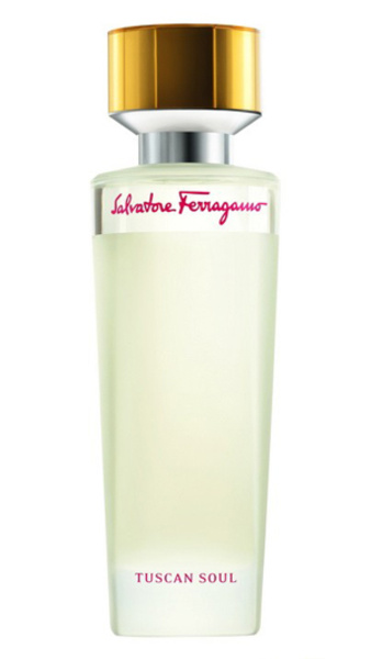 ������׌��ɞ��k���Ҵ�t��