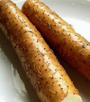 四款豐胸食物 吃出窈窕身材