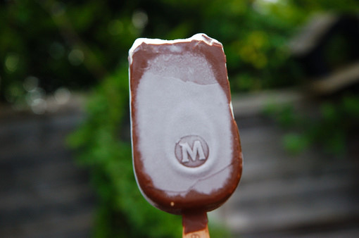 �@������ ��ѩ�����