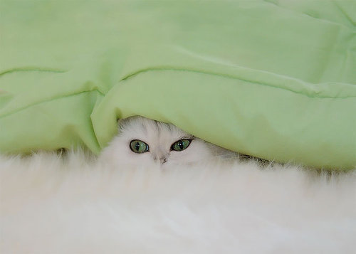 �����ȡ�����ϵС���