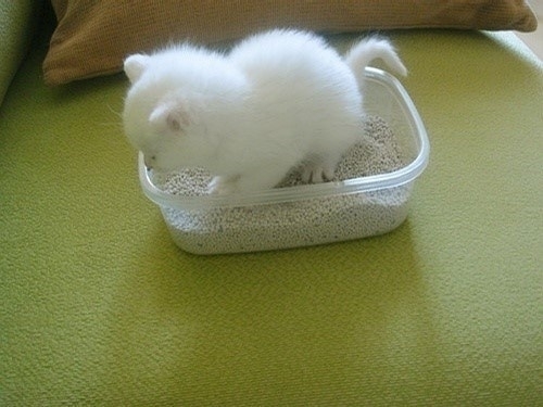 �����ȡ�����ϵС���