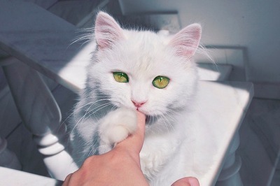 �����ȡ�����ϵС���