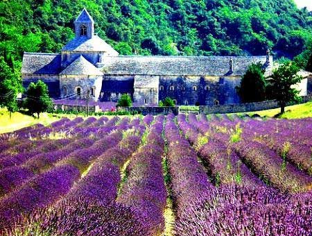 �����麆 �o�w���BС���R