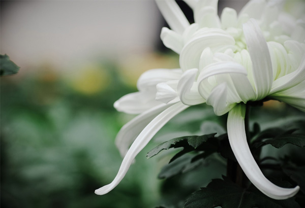 �仨�o�� �˵����