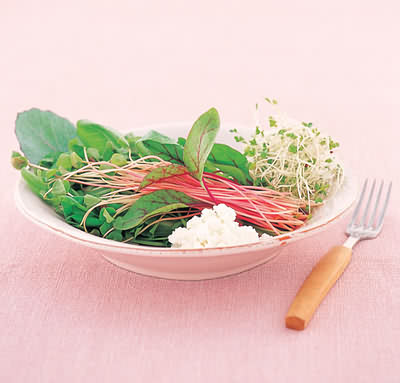 ���V������p�ʵ��Ă������