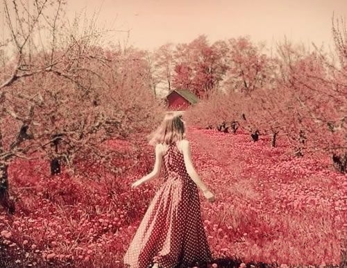 12���������ѳ�����