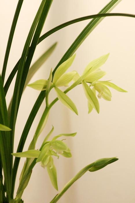 �m�������F���Ƿ�������Ȼ������