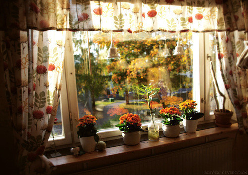 Ů��Ҫ�W��DIY�Լ��ķ��g