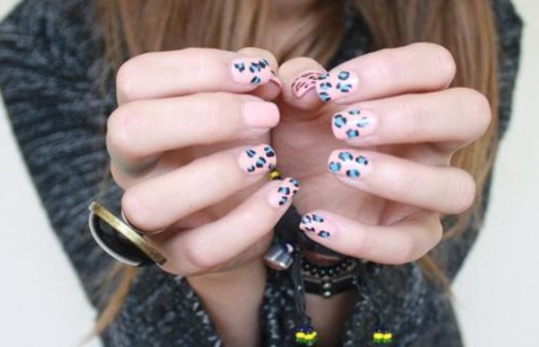 ������֪����12�����Č�������