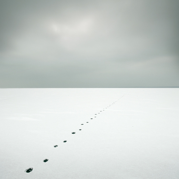 �����@Щ��Ƭ�������Ǹ��ƣ����o�ĺ���