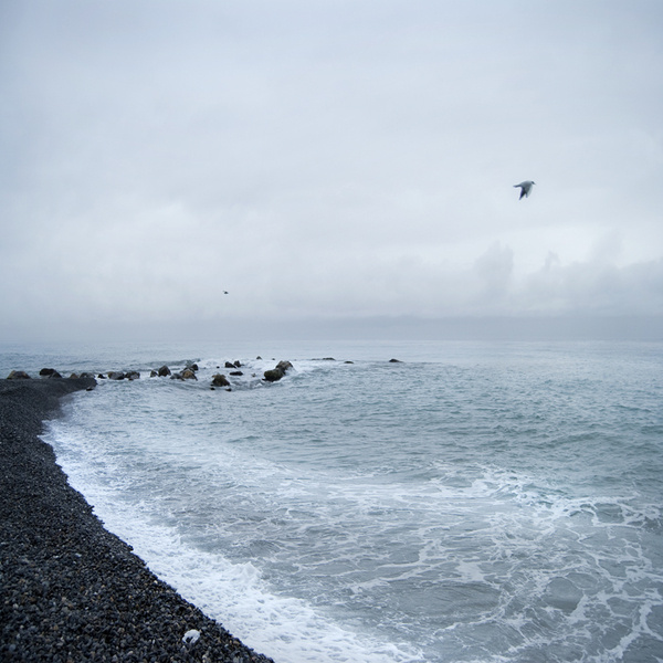 �����@Щ��Ƭ�������Ǹ��ƣ����o�ĺ���