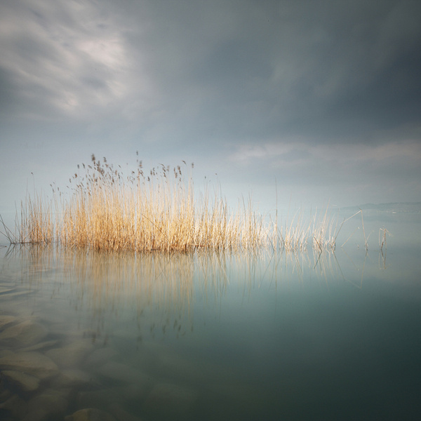 �����@Щ��Ƭ�������Ǹ��ƣ����o�ĺ���