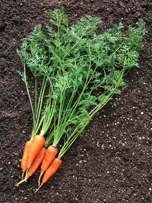 ����B(y��ng)�w ����DIY��ζ��Ĥ