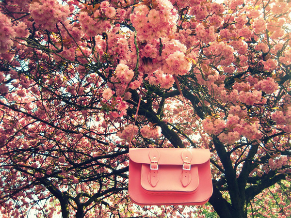 ��H����� һ�����nȥ�ɣ�