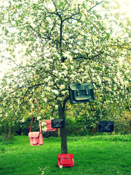 ��H����� һ�����nȥ�ɣ�