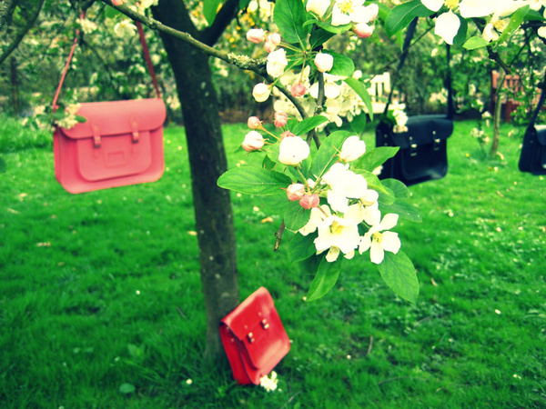 ��H����� һ�����nȥ�ɣ�